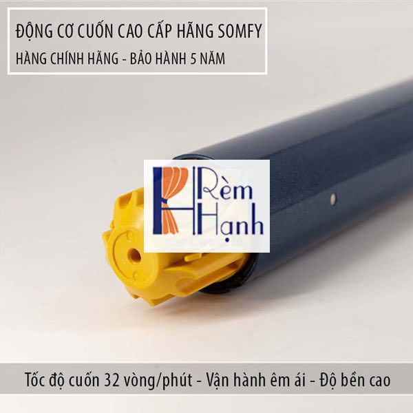 Motor rèm cửa cầu vồng tự động Somfy SONESSE 40 WT-6/20