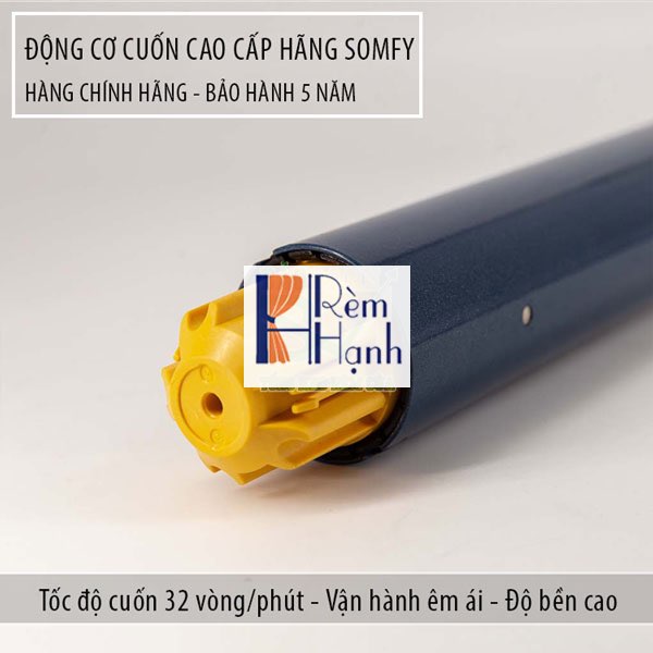 Rèm cửa cầu vồng tự động với động cơ rèm Somfy SONESSE 50 RTS 6/28