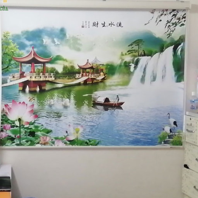 Rèm cuốn in tranh 3D cản nắng đẹp mã B01
