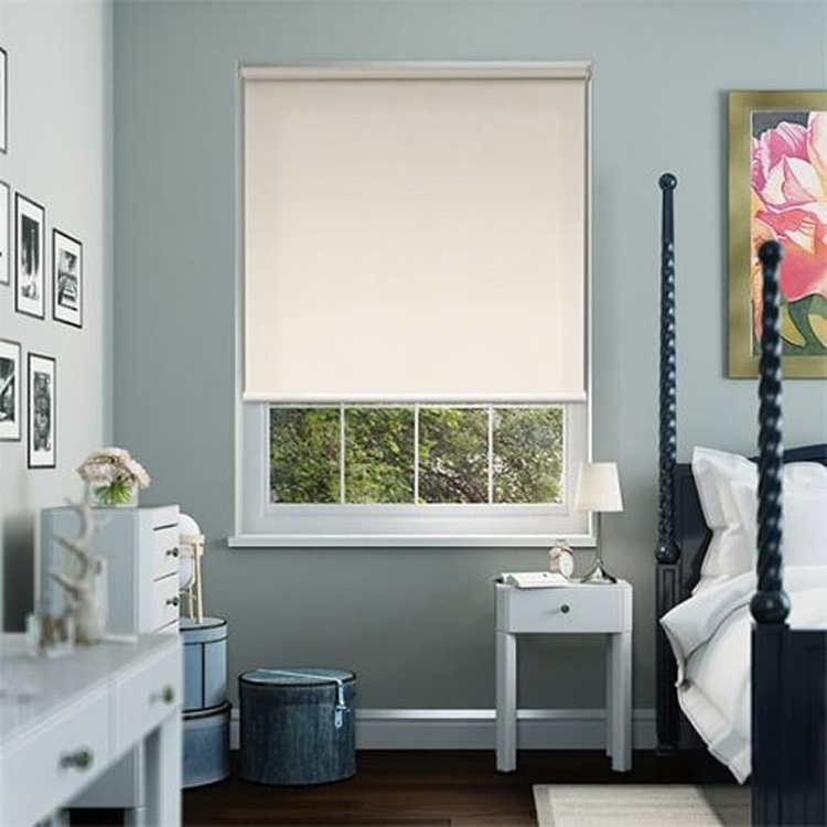 Rèm cửa cuốn hãng Winsun mã W002