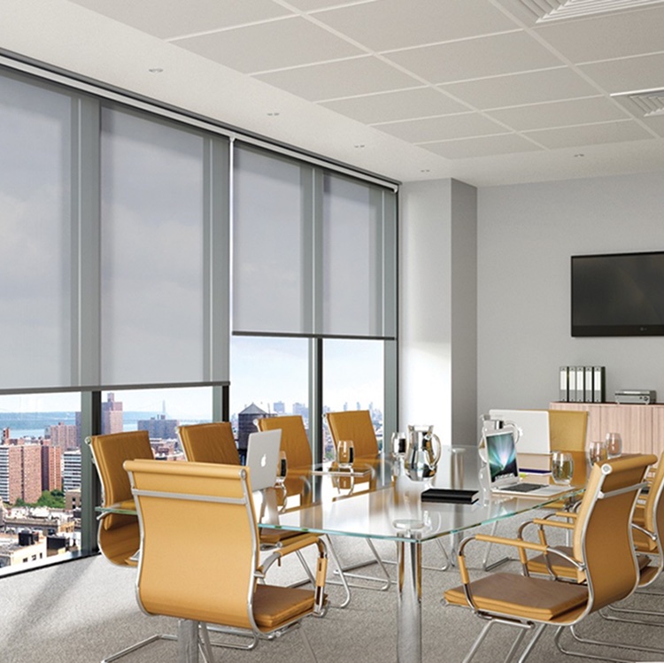 Rèm cuốn văn phòng giá rẻ mã RVP37