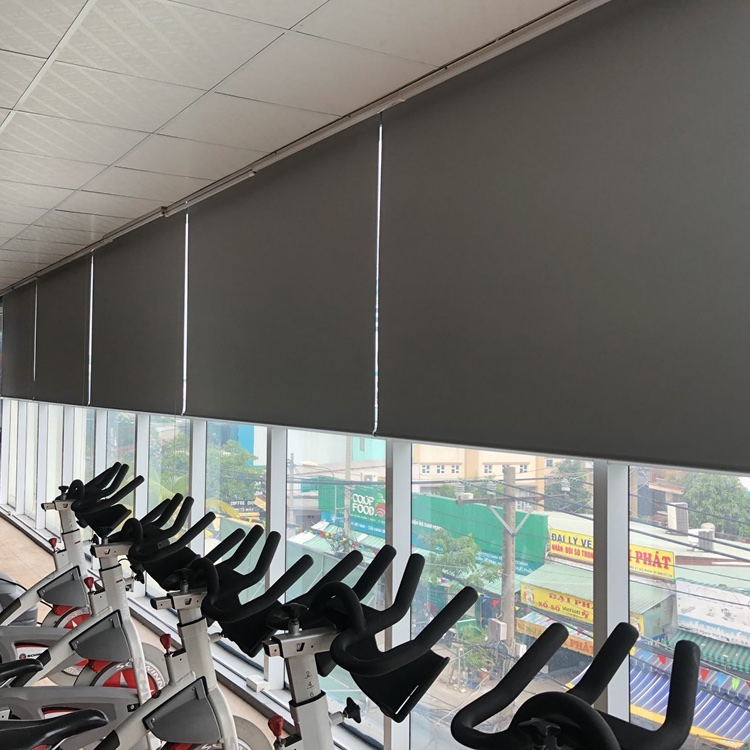 Rèm cuốn văn phòng giá rẻ mã RVP25