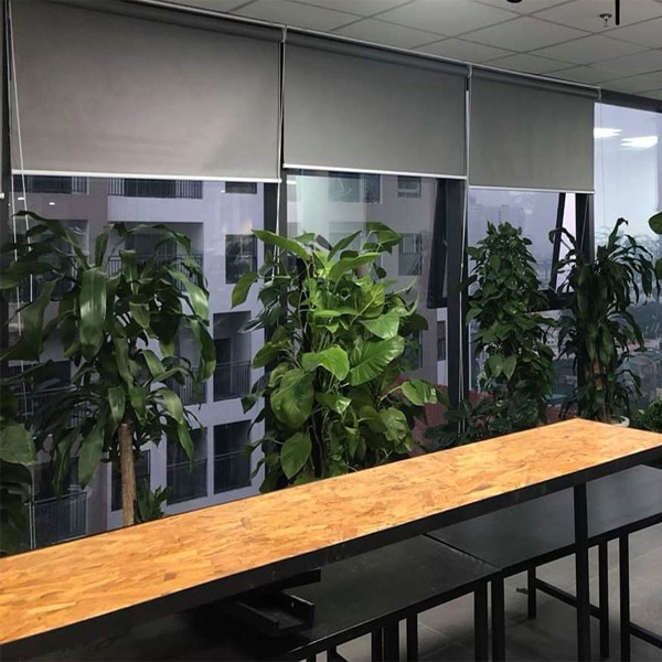 Rèm cuốn văn phòng giá rẻ hãng Fivestar mã RCW015