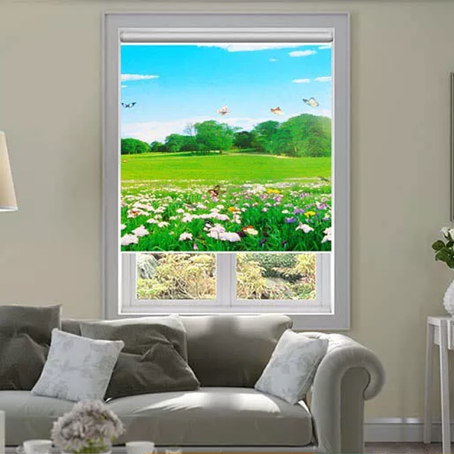 Màn cửa cuốn in tranh mã CT016B