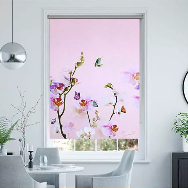 Rèm cửa sổ cuốn in tranh chống nắng mã CT009B