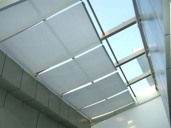 REM-TRAN-CANG-PHANG (2).jpg