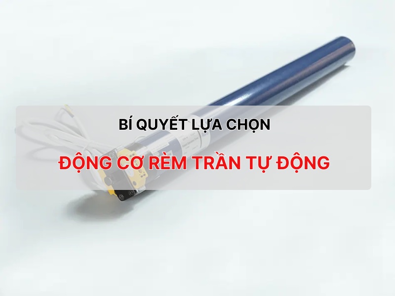 BI-QUYET-LUA-CHON-DONG-CO-REM-TRAN.jpg